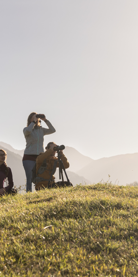 Die Natur beobachten © Sundroina Pictures