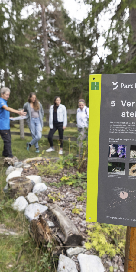 Informationstafel im Insektenschaugarten Don Bosco © Sundroina Pictures