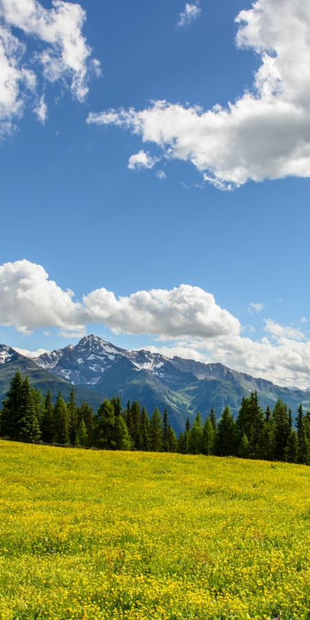 Definition Naturpark | Parc Ela - Naturpark Schweiz